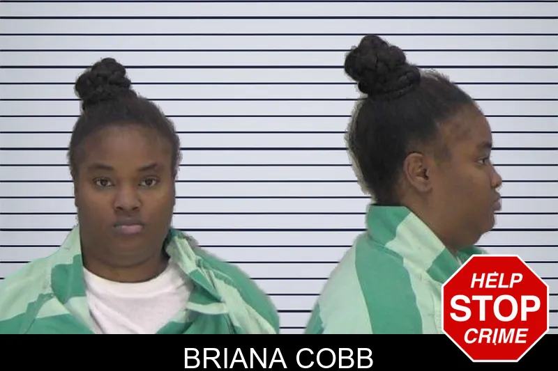 Briana Cobb mugshot