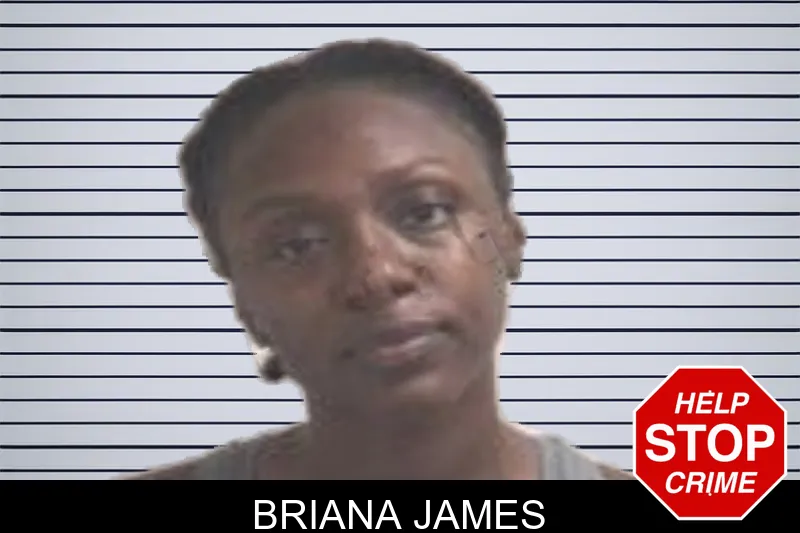 Briana James mugshot