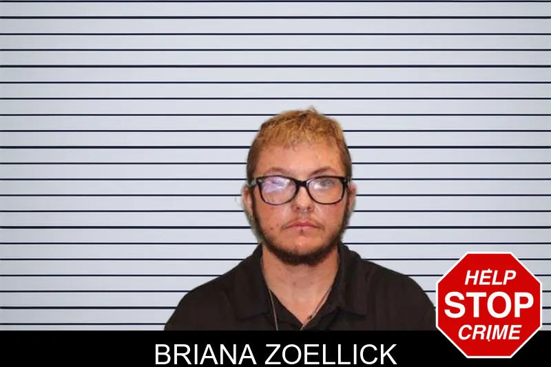 Briana Zoellick mugshot