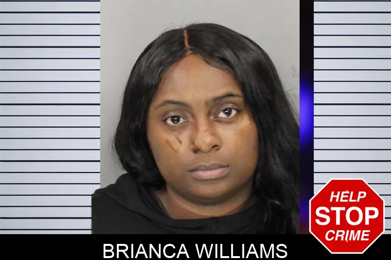 Brianca Williams mugshot