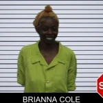 Brianna Cole mugshot – Turner County , Georgia Brianna Cole mugshot