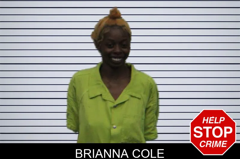 Brianna Cole mugshot – Turner County , Georgia Brianna Cole mugshot