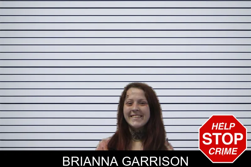 Brianna Garrison mugshot – Stephens County , Georgia Brianna Garrison mugshot