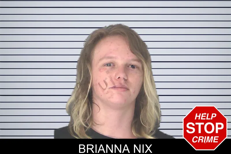 Brianna Nix mugshot