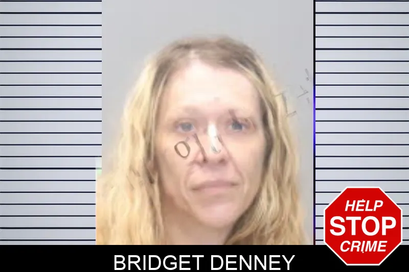 Bridget Denney mugshot