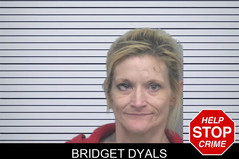 Bridget Dyals mugshot
