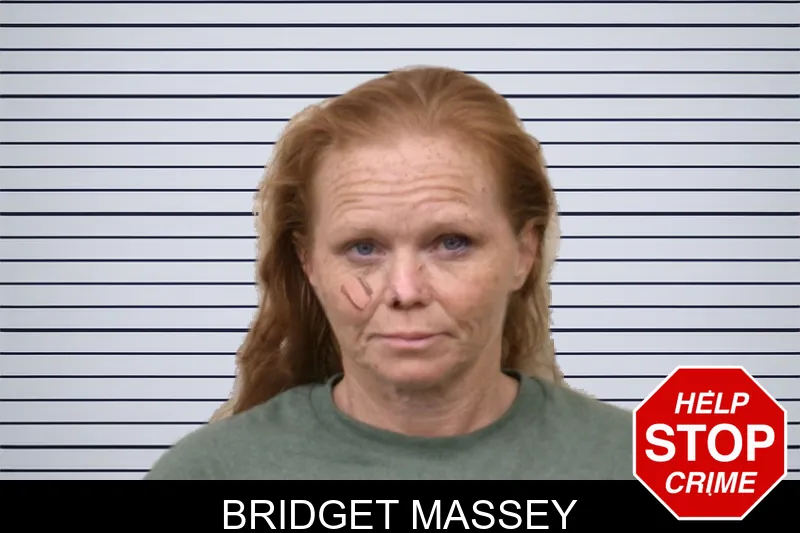 Bridget Massey mugshot
