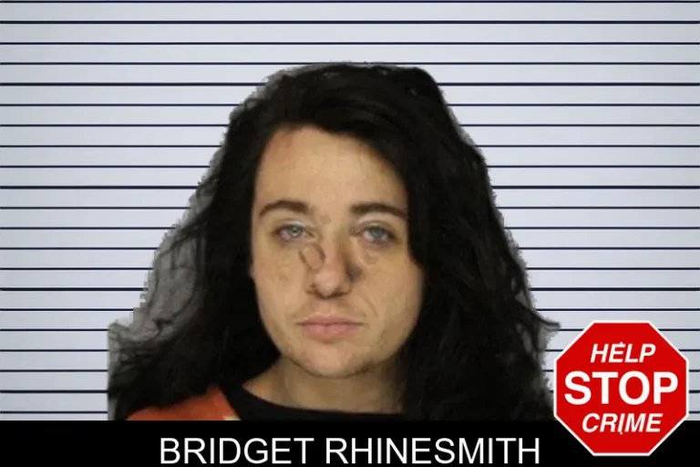 Bridget Rhinesmith mugshot – Hall County , Georgia Bridget Rhinesmith
