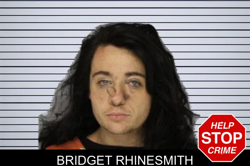 Bridget Rhinesmith mugshot – Hall County , Georgia Bridget Rhinesmith mugshot