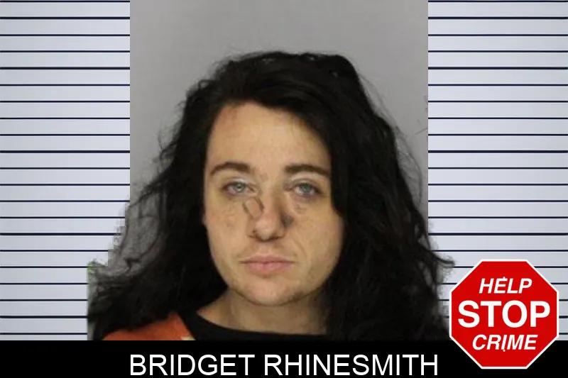 Bridget Rhinesmith mugshot – Hall County , Georgia Bridget Rhinesmith mugshot