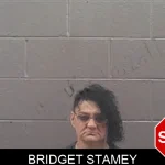 Bridget Stamey mugshot