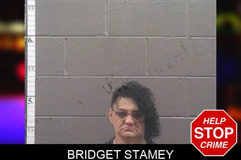Bridget Stamey mugshot