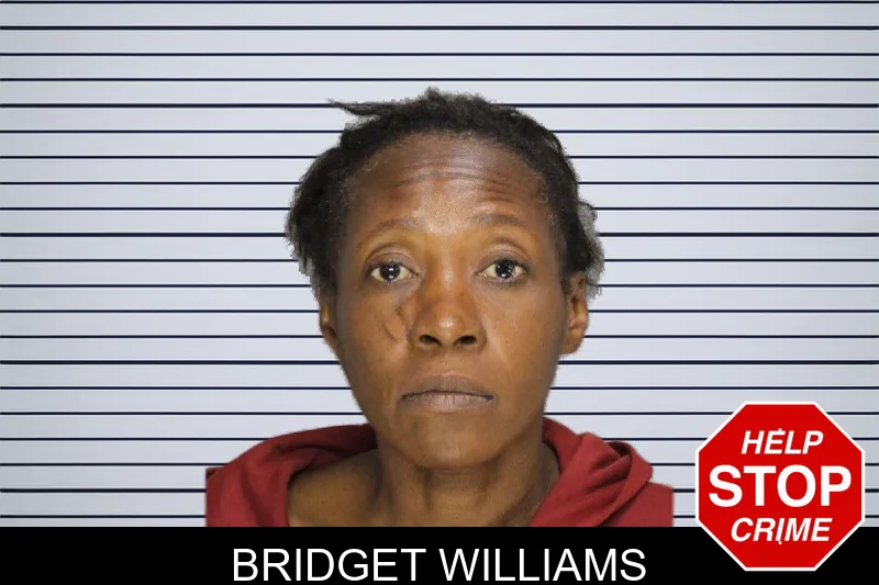 Bridget Williams mugshot