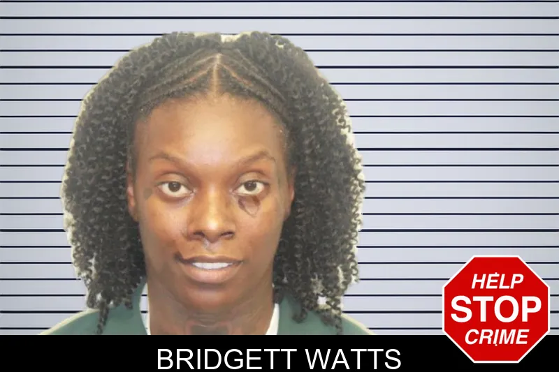 Bridgett Watts mugshot