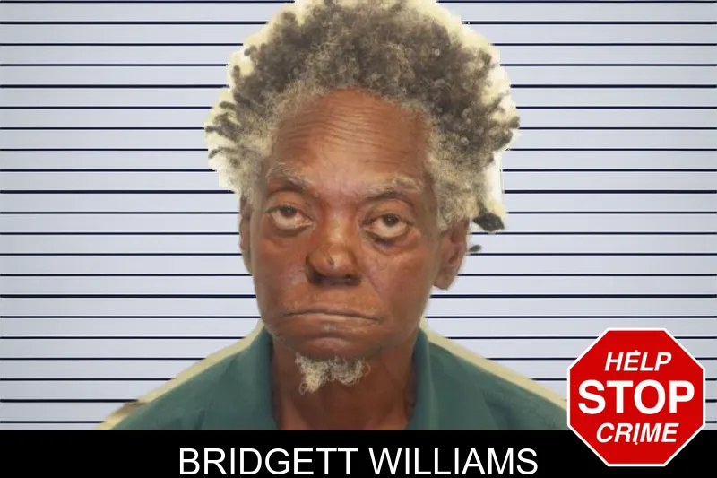 Bridgett Williams mugshot