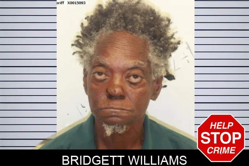 Bridgett Williams mugshot