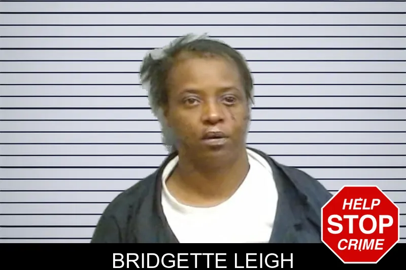 Bridgette Leigh mugshot