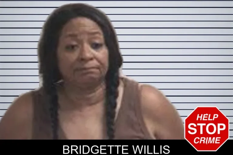 Bridgette Willis mugshot – Henry County , Georgia Bridgette Willis