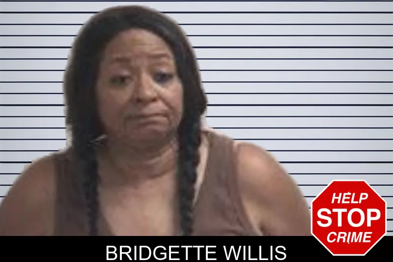 Bridgette Willis mugshot