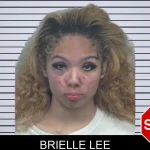 Brielle Lee mugshot – Gwinnett County , Georgia Brielle Lee mugshot