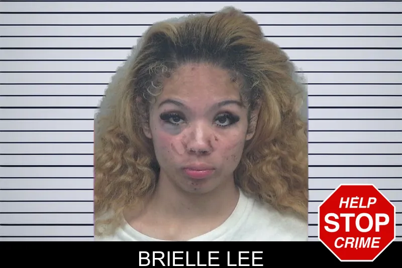 Brielle Lee mugshot – Gwinnett County , Georgia Brielle Lee mugshot