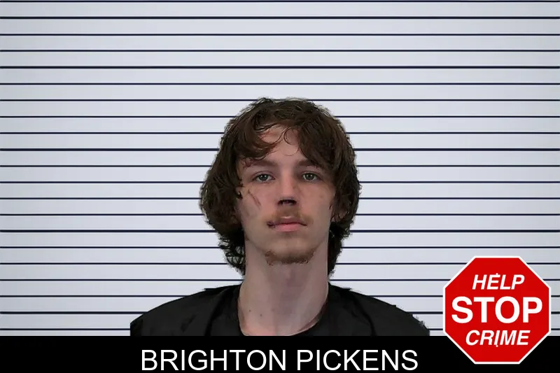 Brighton Pickens mugshot