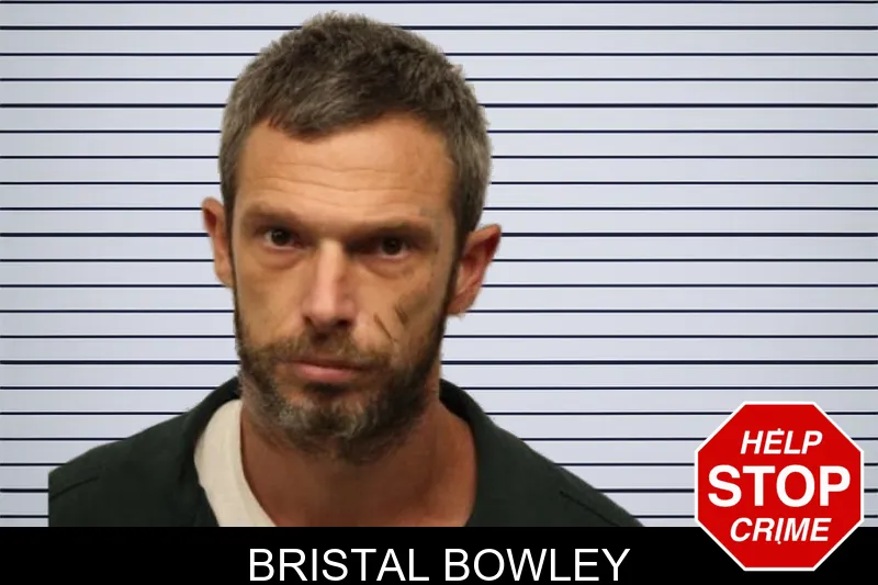 Bristal Bowley mugshot – Chatham County , Georgia Bristal Bowley mugshot