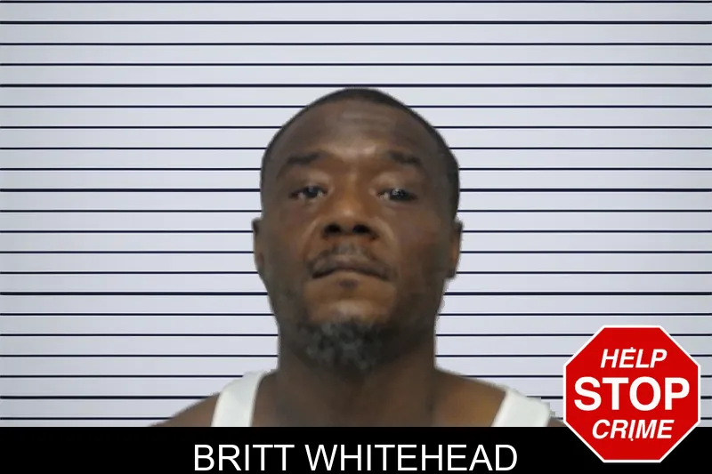Britt Whitehead mugshot