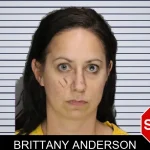 Brittany Anderson mugshot – Cobb County , Georgia Brittany Anderson mugshot
