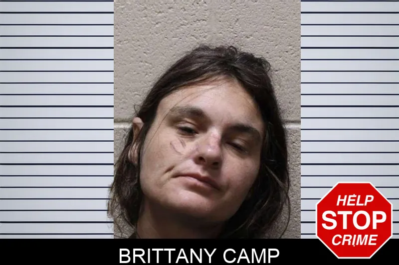 Brittany Camp mugshot – Haralson County , Georgia Brittany Camp mugshot