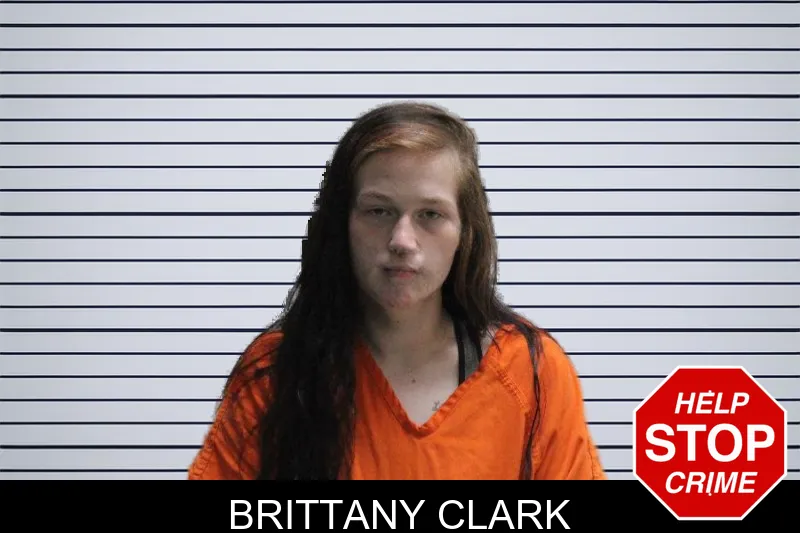 Brittany Clark mugshot – Murray County , Georgia Brittany Clark mugshot