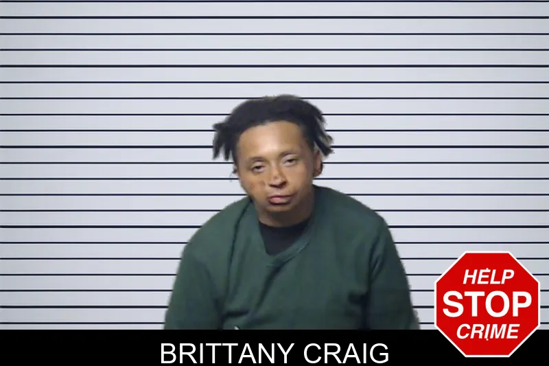 Brittany Craig mugshot – DeKalb County , Georgia Brittany Craig mugshot