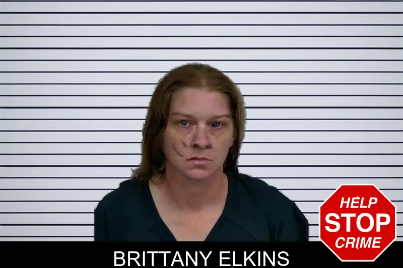 Brittany Elkins mugshot