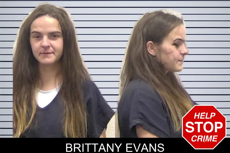 Brittany Evans mugshot