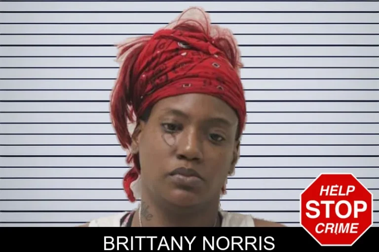 Brittany Norris