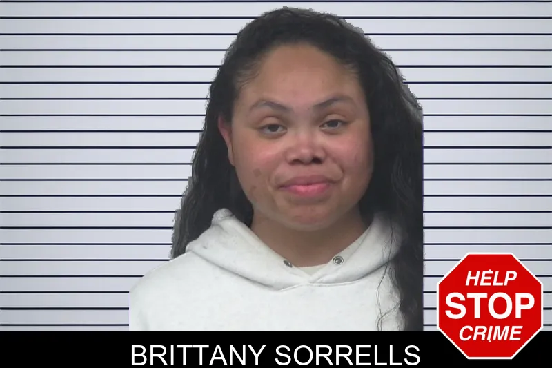 Brittany Sorrells mugshot – Gwinnett County , Georgia Brittany Sorrells mugshot