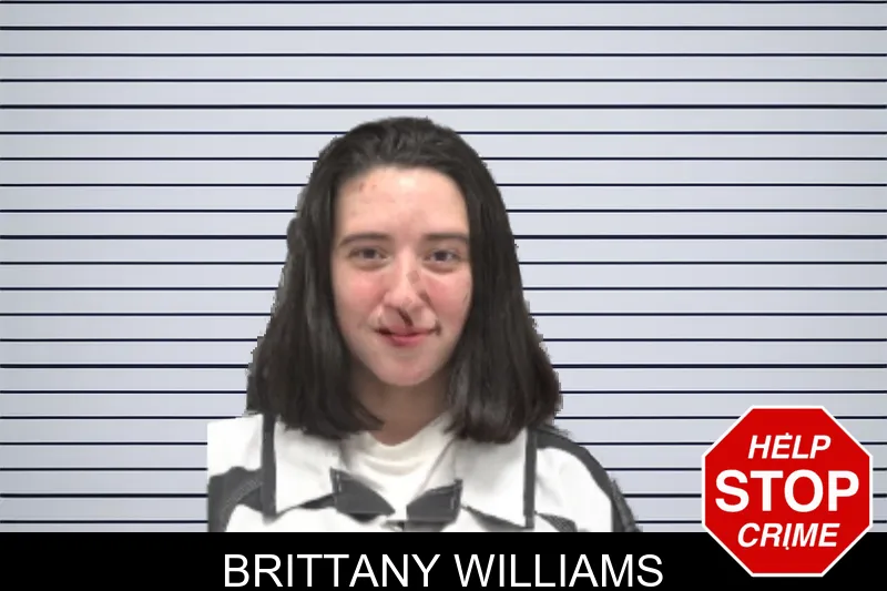 Brittany Williams mugshot