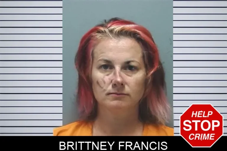Brittney Francis mugshot – Cherokee County , Georgia Brittney Francis