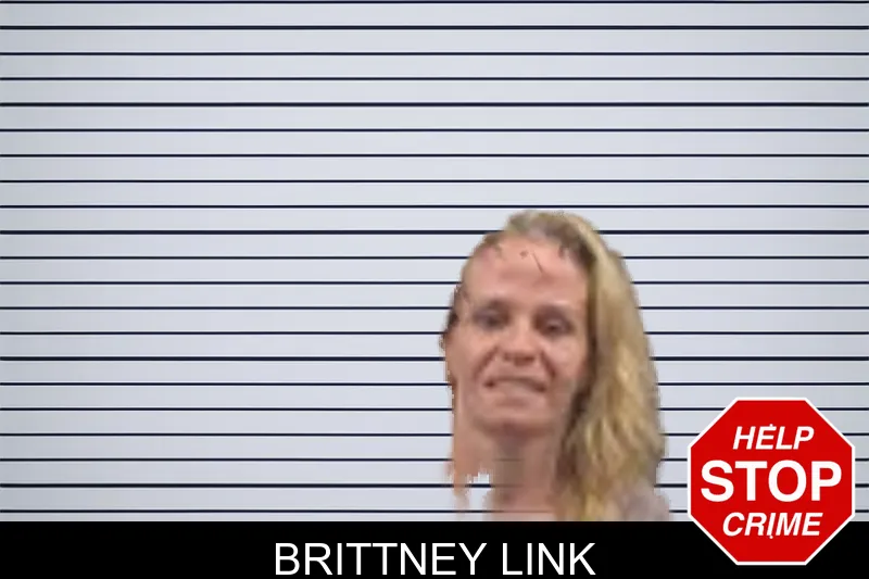 Brittney Link mugshot
