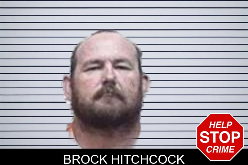 Brock Hitchcock mugshot