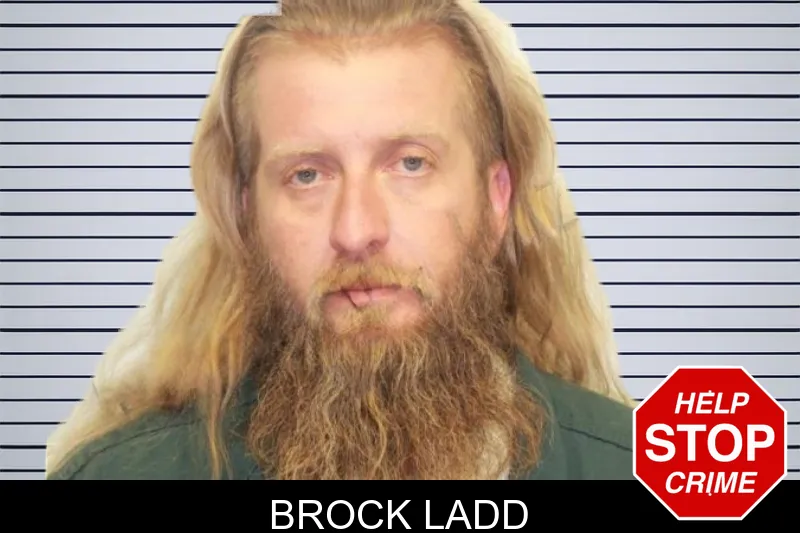 Brock Ladd mugshot