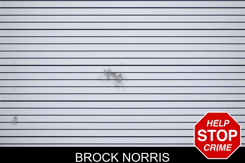 Brock Norris mugshot