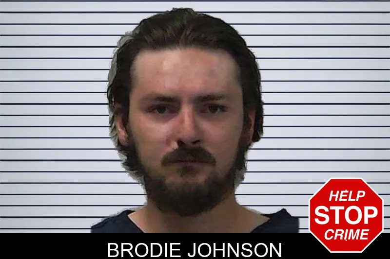 Brodie Johnson mugshot – Gilmer County , Georgia Brodie Johnson mugshot