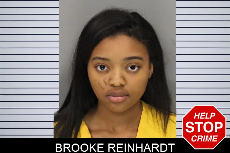 Brooke Reinhardt mugshot – Cobb County , Georgia Brooke Reinhardt mugshot