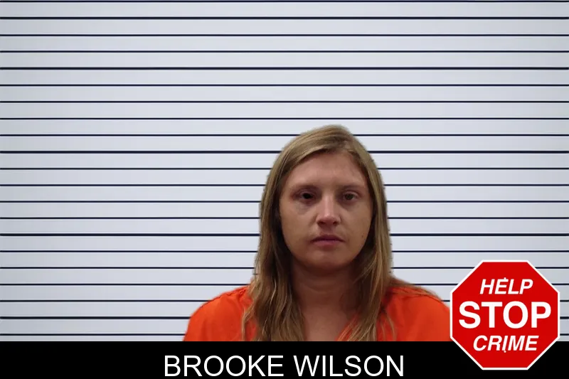 Brooke Wilson mugshot