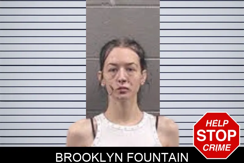 Brooklyn Fountain mugshot
