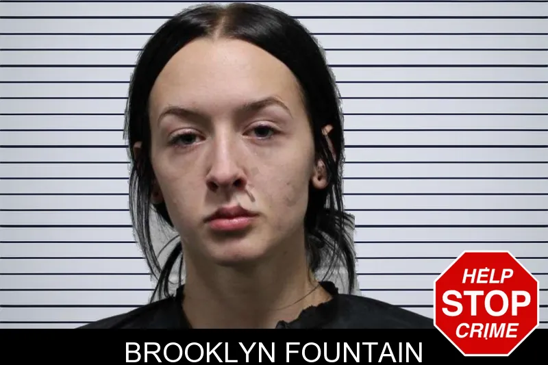 Brooklyn Fountain mugshot – Habersham County , Georgia Brooklyn Fountain mugshot