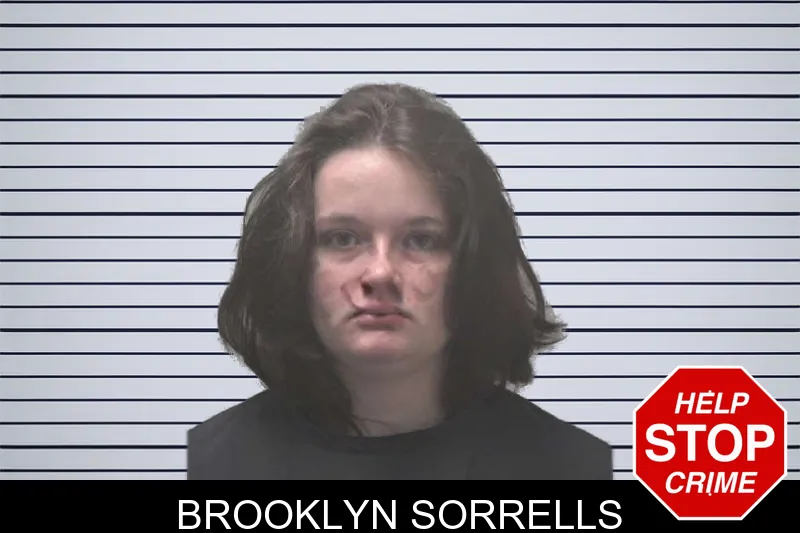 Brooklyn Sorrells mugshot – Coweta County , Georgia Brooklyn Sorrells mugshot