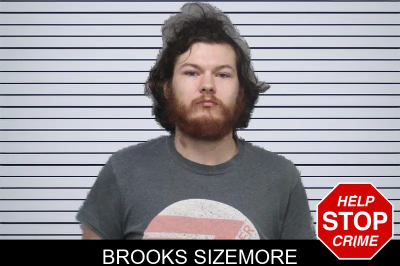 Brooks Sizemore mugshot – White County , Georgia Brooks Sizemore mugshot