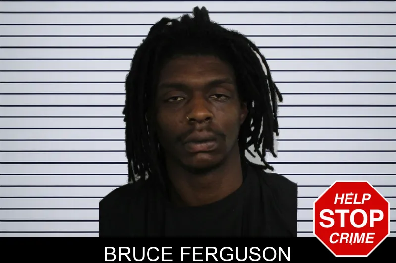 Bruce Ferguson mugshot – Floyd County , Georgia Bruce Ferguson mugshot